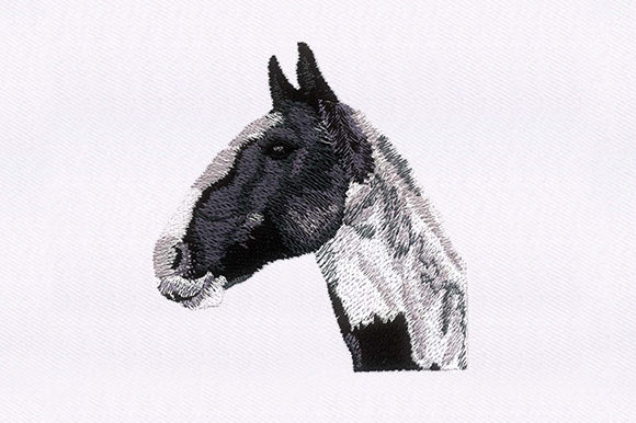 Horse Portrait Design: A Designer’s Review