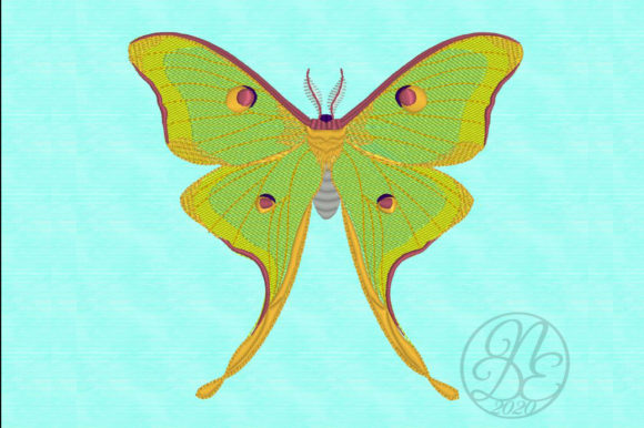 Luna Moth ITH: A Designer’s Review for Brand Merch