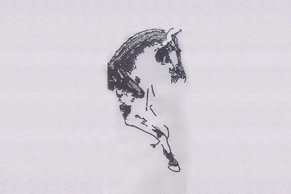 Reviewing Magnetic Horse Design for Embroidery
